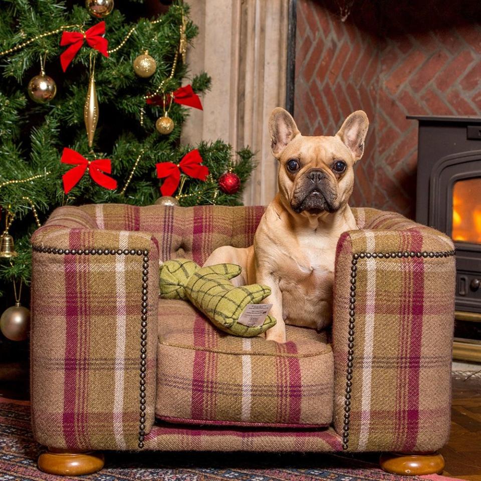 Tetford Chesterfield Dog Bed In Heather Tweed, from £422.40