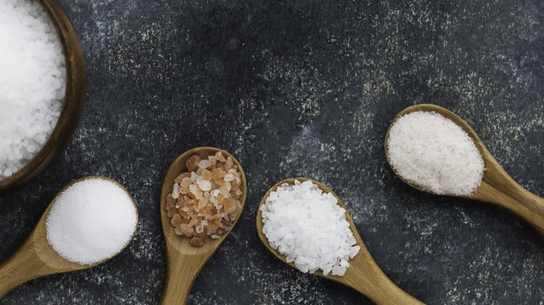 Different types of salt in wooden spoons