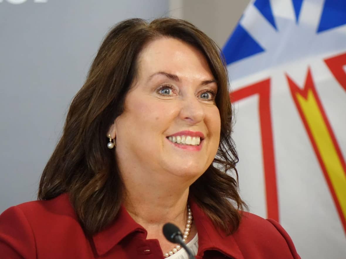 Newfoundland and Labrador Finance Minister Siobhan Coady delivered a provincial budget with a record $9.8 in spending on Thursday afternoon. (Patrick Butler/CBC - image credit)