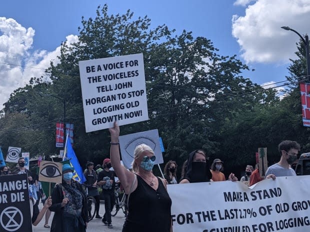 Protesters with Extinction Rebellion demonstrate against old-growth logging in B.C.  near Vancouver City Hall on Saturday.   (Joel Ballard - image credit)