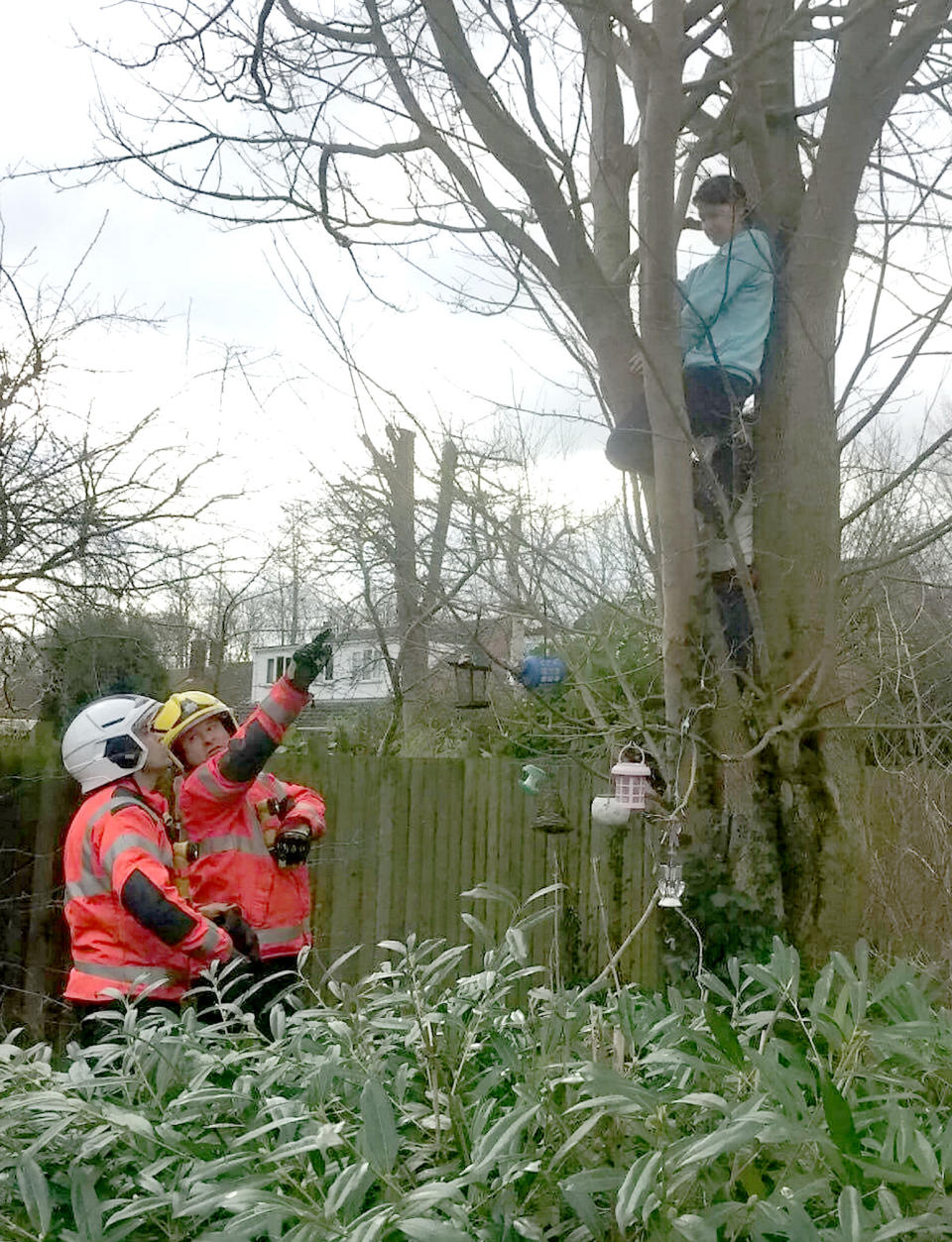 <em>Embarrassing – Emily Whitton got stuck in a tree just six feet off the ground as she tried to rescue a neighbour’s kitten (Pictures: SWNS)</em>
