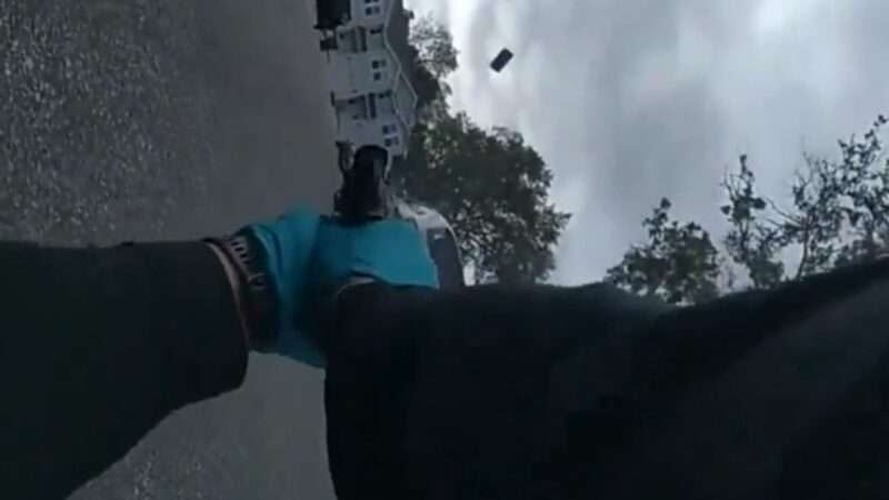 A screenshot from body camera footage shows a Florida sheriff's deputy firing at his own patrol car