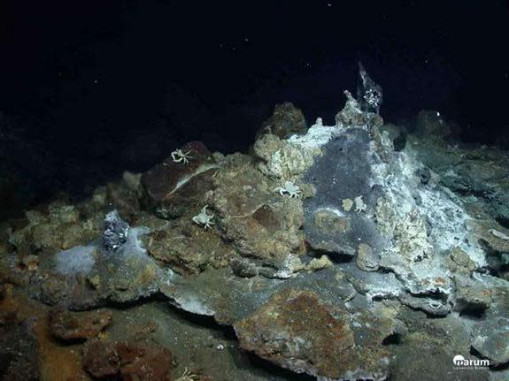 The hydrothermal vent crab Segonzacia on a mound that is covered with white bacteria and mineral precipitates.