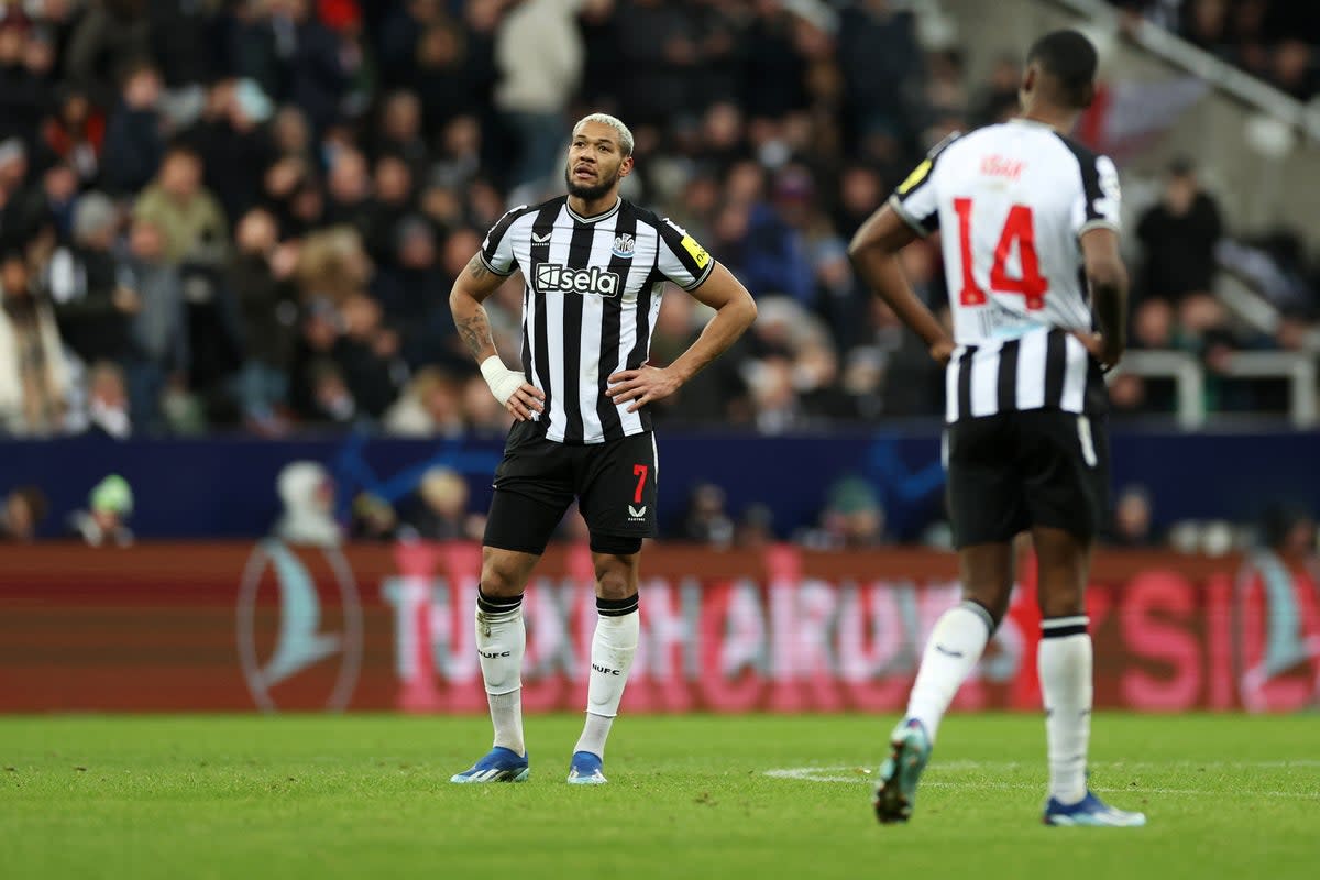 Newcastle saw their European dreams slip away (Getty)