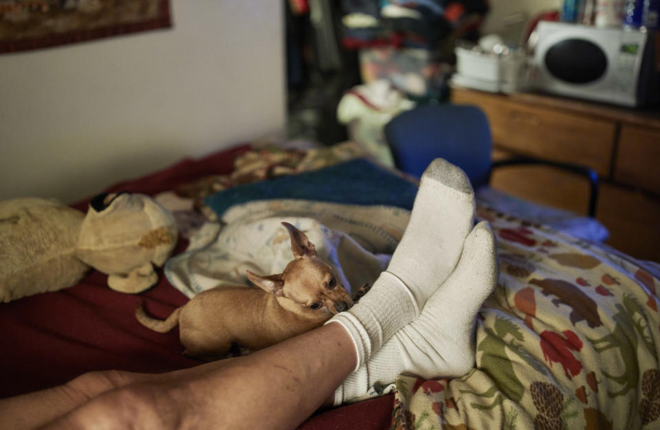 In this Oct. 11, 2018, photo, Bella sits next to David Young at a weekly rental motel in Reno, Nev. (AP Photo/John Locher)