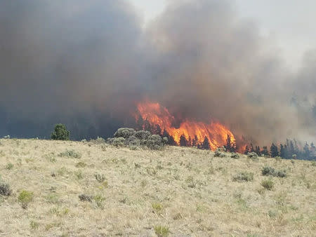 FILE PHOTO: Flames rise past a ridge during efforts to contain the Spring Creek Fire in Costilla County, Colorado, U.S. June 27, 2018. Costilla County Sheriff's Office/Handout via REUTERS/File Photo