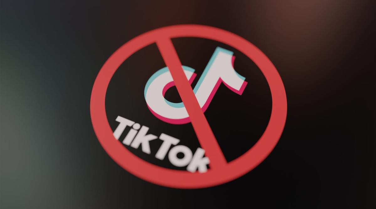 Content creators react to possible US ban on TikTok - ABC News