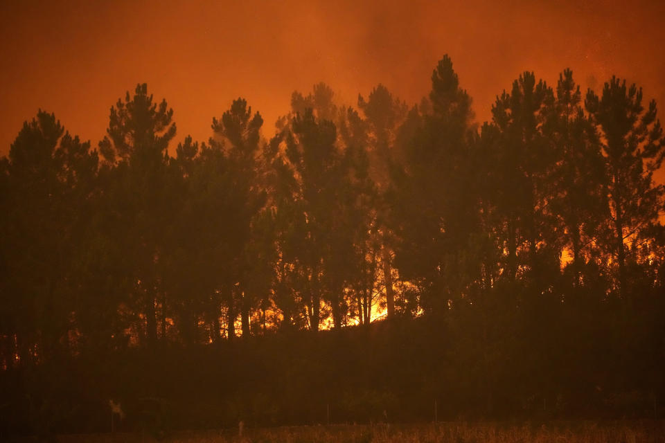 A forest fire reaches a line of pine trees in the village of Bemposta, near Ansiao, central Portugal, Wednesday, July 13, 2022. Thousands of firefighters in Portugal continue to battle fires all over the country that forced the evacuation of dozens of people from their homes. (AP Photo/Armando Franca)