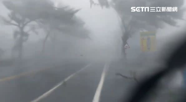 成功鎮一處道路上，駕駛直擊樹木被吹斷。（圖／翻攝畫面）