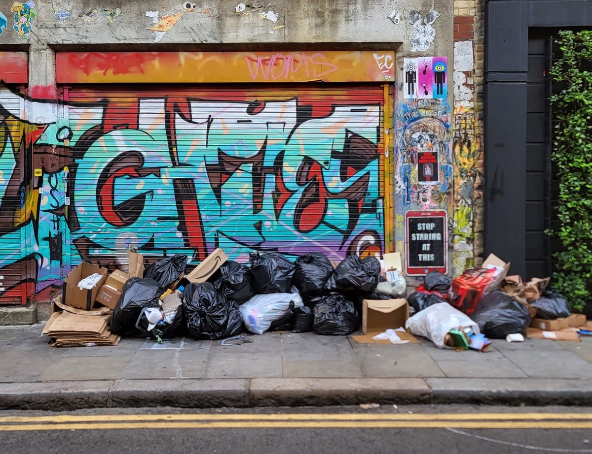 Rubbish is piling up outside schools, homes and businesses across the borough of Tower Hamlets (Andrea Silva)