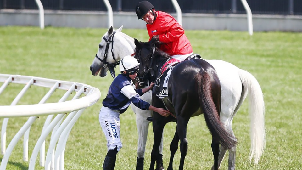 The Cliffsofmoher suffered a fractured shoulder. Image: Getty