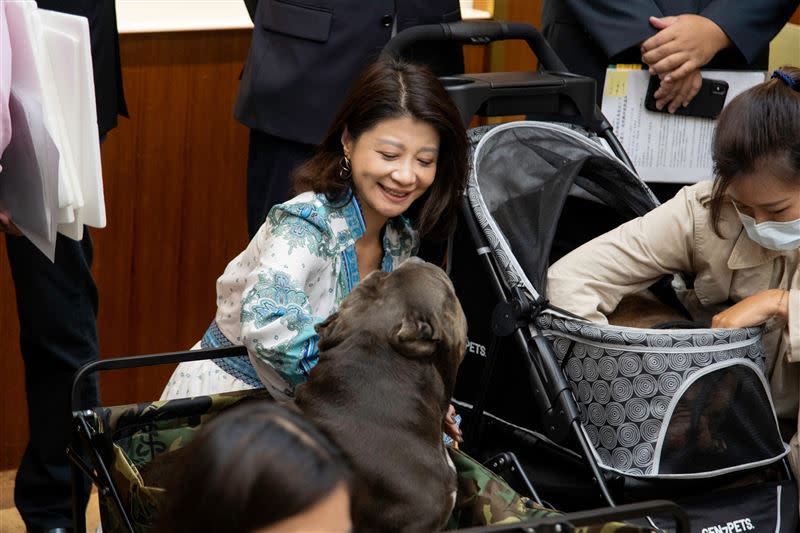  林楚茵呼籲，主管機關應該要強化飼主養育的知識及技巧，並且調整罰則措施。（圖／記者陳政宇攝影、林楚茵辦公室提供）