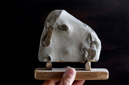 Stone collector Luigi Lineri, 79, holds a stone collected and categorised by shape (a sheep's head) at his home workshop in Zevio, near Verona, Italy, June 10, 2016. REUTERS/Alessandro Bianchi