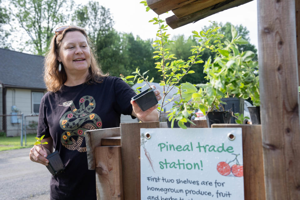 Paige Waggoner places various plants on her Pineal trade station on Wednesday, May 8, 2024.