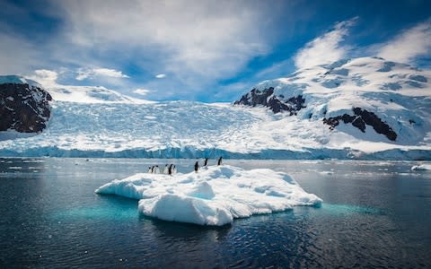 A waddle of penguins in Antarctica - Credit: Getty