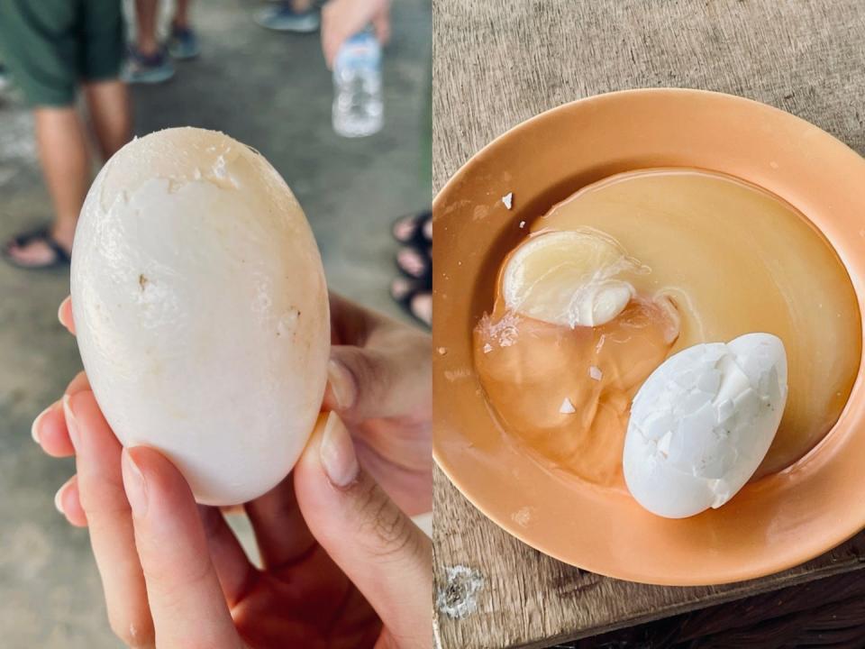 A composite image of a semi-peeled crocodile egg and the contents of a crocodile's egg.