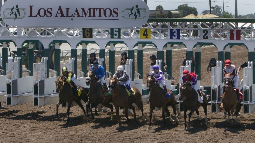 LOS ALAMITOS, CA - JULY 3, 2014: Thoroughbred horses bolt out of the starting gate in the first race at Los Alamitos Race Track on July 3, 2014 in Los Alamitos, California. This is the first time thoroughbreds have raced at the track since 1991.(Gina Ferazzi / Los Angeles Times)