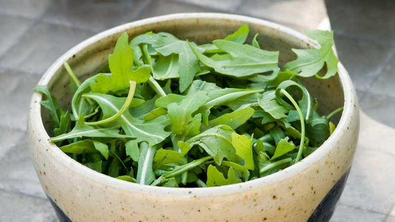 Bowl of fresh arugula