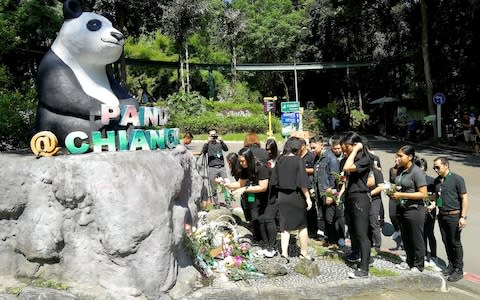 Zoo workers lay flowers at a Panda statue after Chuang Chuang's death - Credit: Reuters