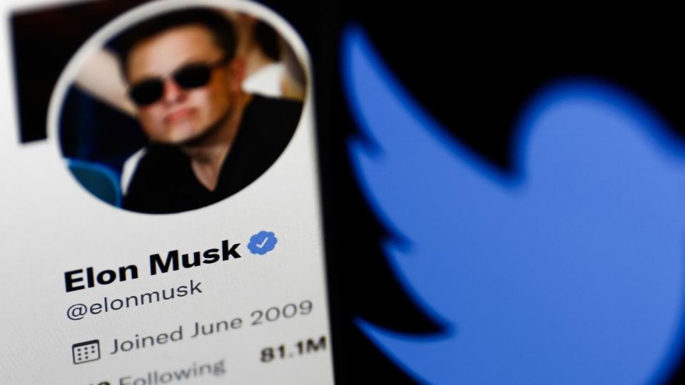 Elon Musk Twitter account and Twitter logo