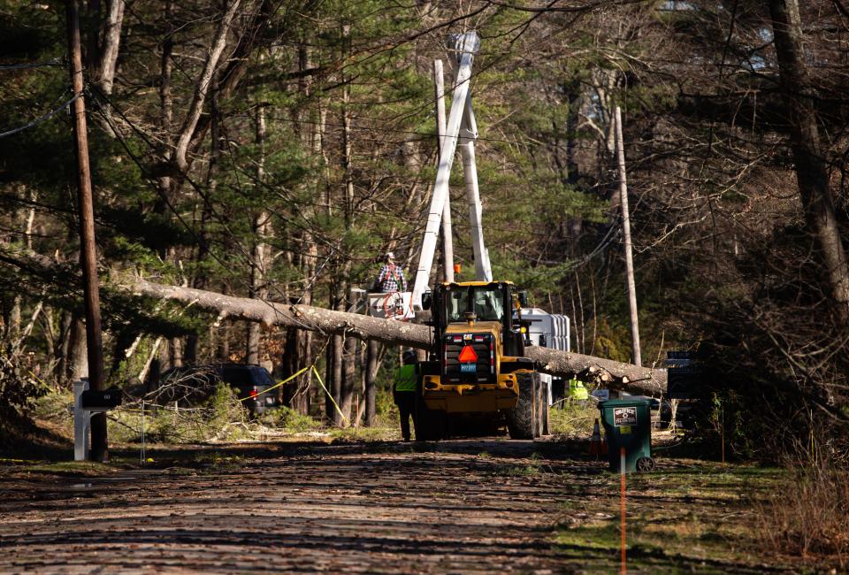 Tree workers work to remove a large tree from electrical wires and laying across the street on Page Farm Road in Sherborn, Dec. 19, 2023.