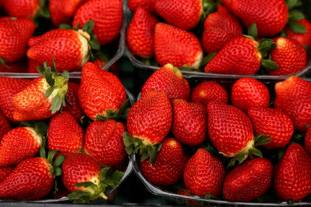 Strawberries are displayed on a vendor's stand at the Farmers' Market, where farmers can sell their fruit and vegetables directly to the public, in Ta' Qali, Malta February 6, 2018. REUTERS/Darrin Zammit Lupi/Files