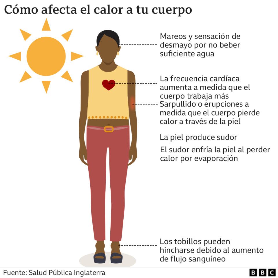 Infografía sobre los efectos del calor en nuestro cuerpo.