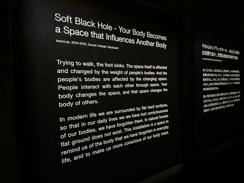 soft black hole signage