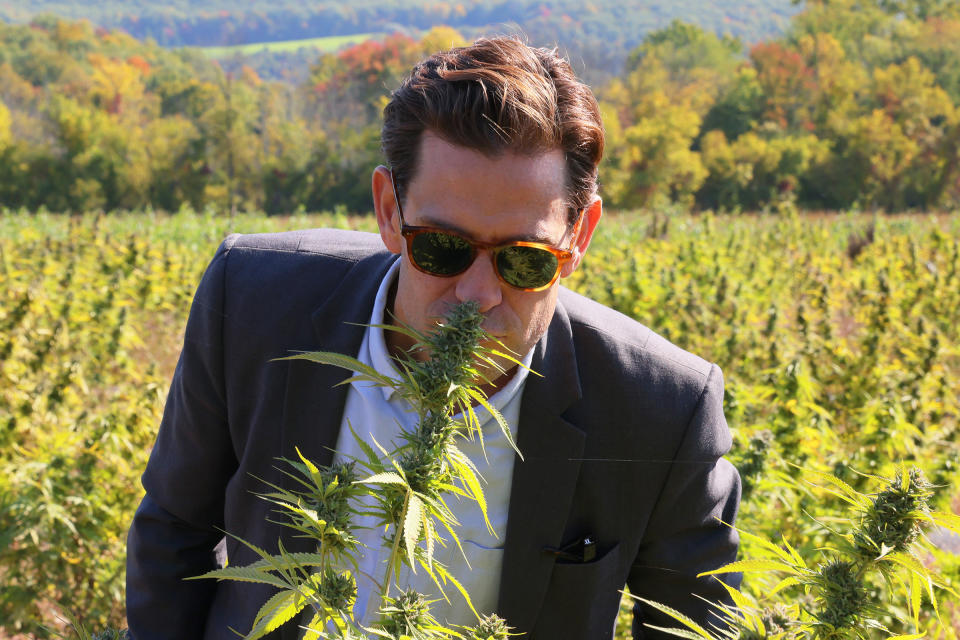 Axel Bernabe, Chief of Staff & Senior Policy Director at NYS Office of Cannabis Management, smells a cannabis plant during a tour of Claudine Field Apothecary farm on Oct. 07 in Columbia County, New York.<span class="copyright">Michael M. Santiago—Getty Images</span>