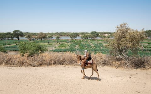  By 2030 the ambition is to restore 100m hectares of degraded land and bring security to one of the most impoverished regions on earth - Credit: Simon Townsley/The Telegraph