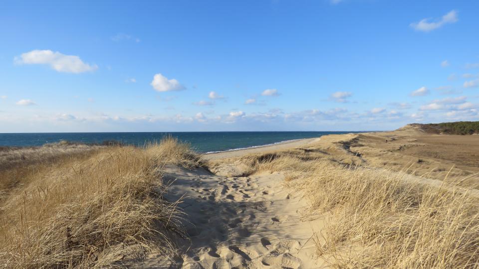 Along the Cape Cod National Seashore's Great Island Trail in Wellfleet.