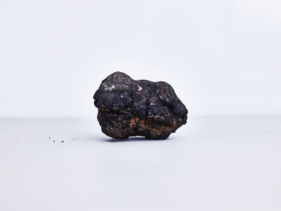 A polymetallic nodule, an amalgamation of nickel, cobalt, manganese and other rare earth metals, formed through a complex biochemical process.<span class="copyright">Spencer Lowell for TIME</span>