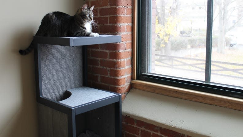 This cat tree looks like a cool, modern piece of decor.