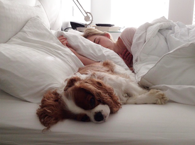 Should You Let Your Dog Sleep with You? 7 Benefits to Consider