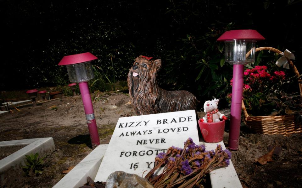 The grave of a 'family member' at Silvermere Haven pet cemetery in Cobham, Surrey - Alamy