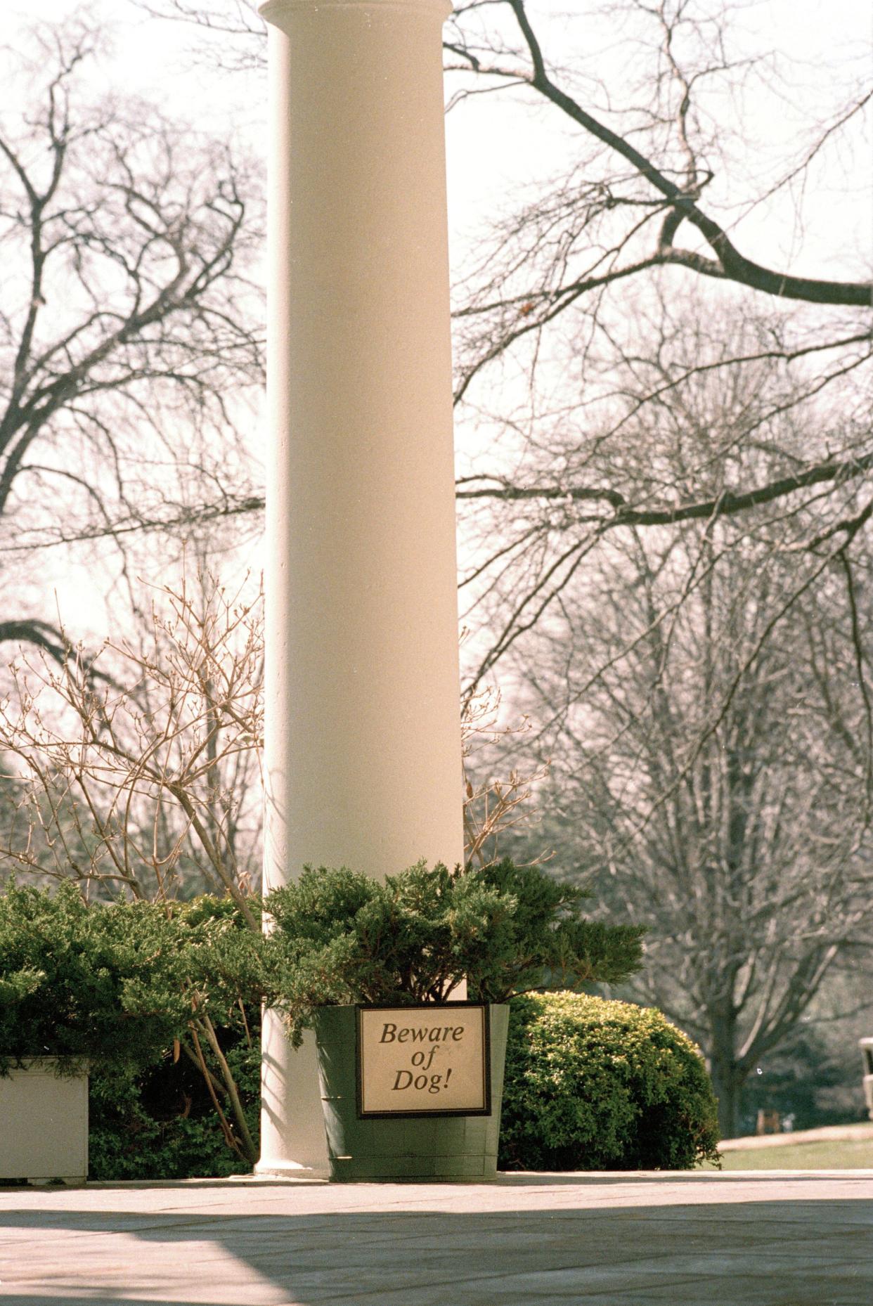 In this March 2, 1989, file photo a "Beware of Dog!" sign hangs outside the Oval Office at the White House during the administration of President George H.W. Bush. The arrival of the Biden pets will also mark the next chapter in a long history of pets residing at the White House after a four-year hiatus during the Trump administration. “Pets have always played an important role in the White House throughout the decades,” said Jennifer Pickens, an author who studies White House traditions. (AP Photo/Doug Mills, File)