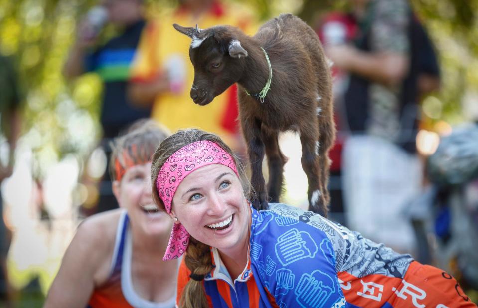 Molly Schebler of West Des Moines reacts to a goat jumping on her back in the goat yoga pen at Howell's Greenhouse near Cumming during RAGBRAI in 2019.