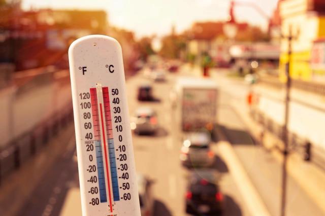 Realistic weather thermometer with high and low temperature