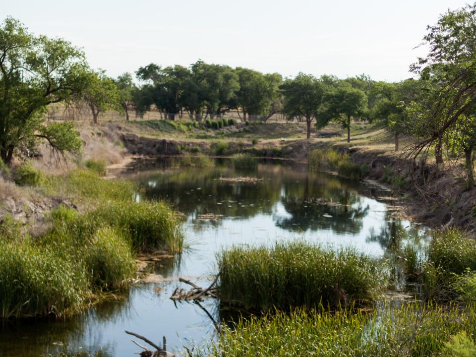 Lubbock Lake Landmark