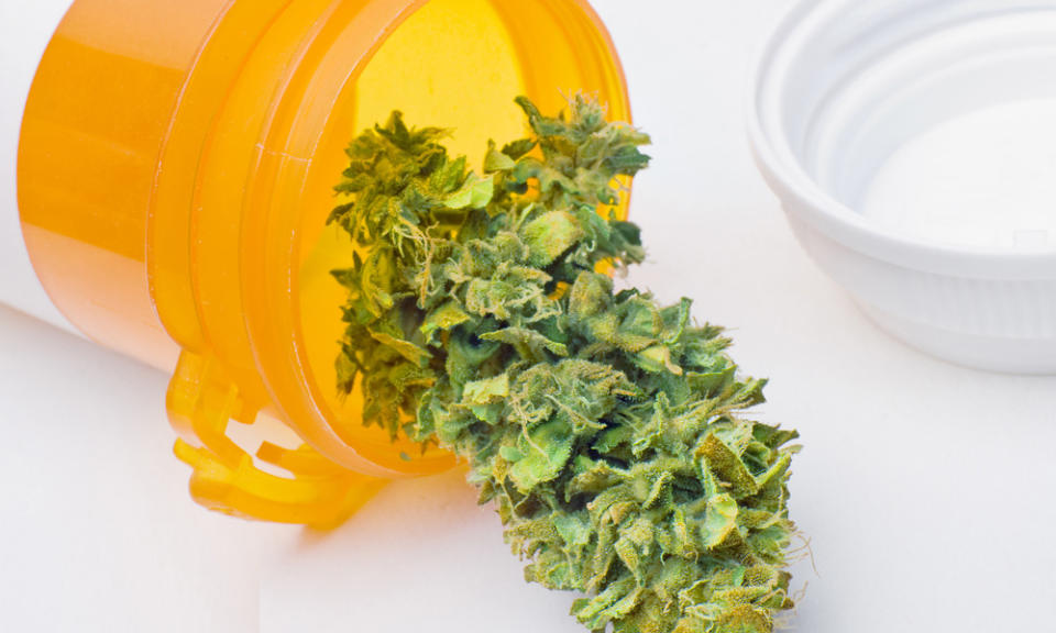 Marijuana for medical use is gaining acceptance