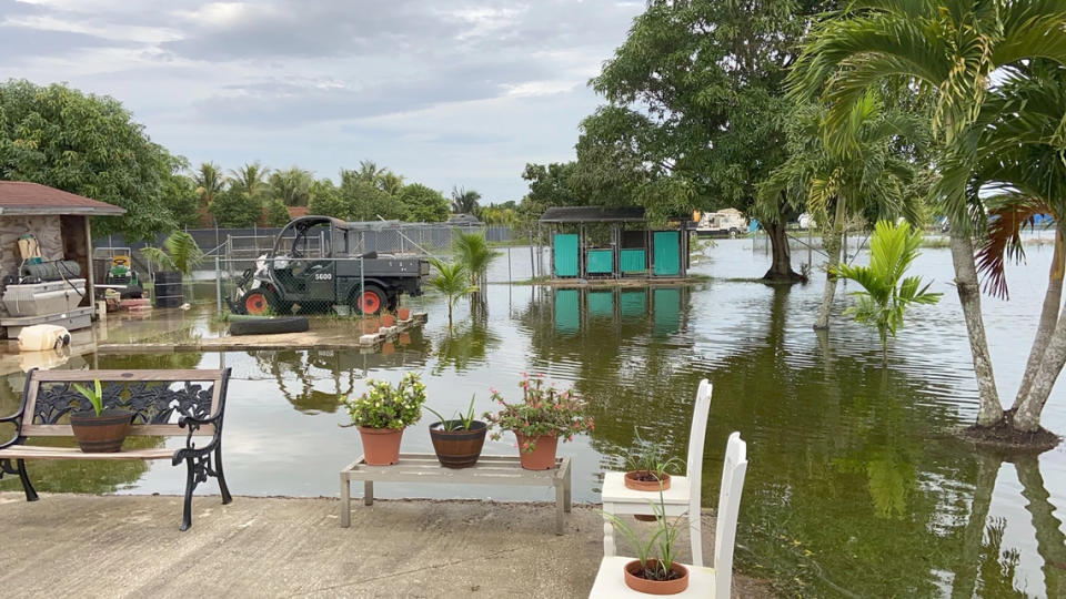 Water flooded Raul Arrazcaeta’s Las Palmas yard in November.