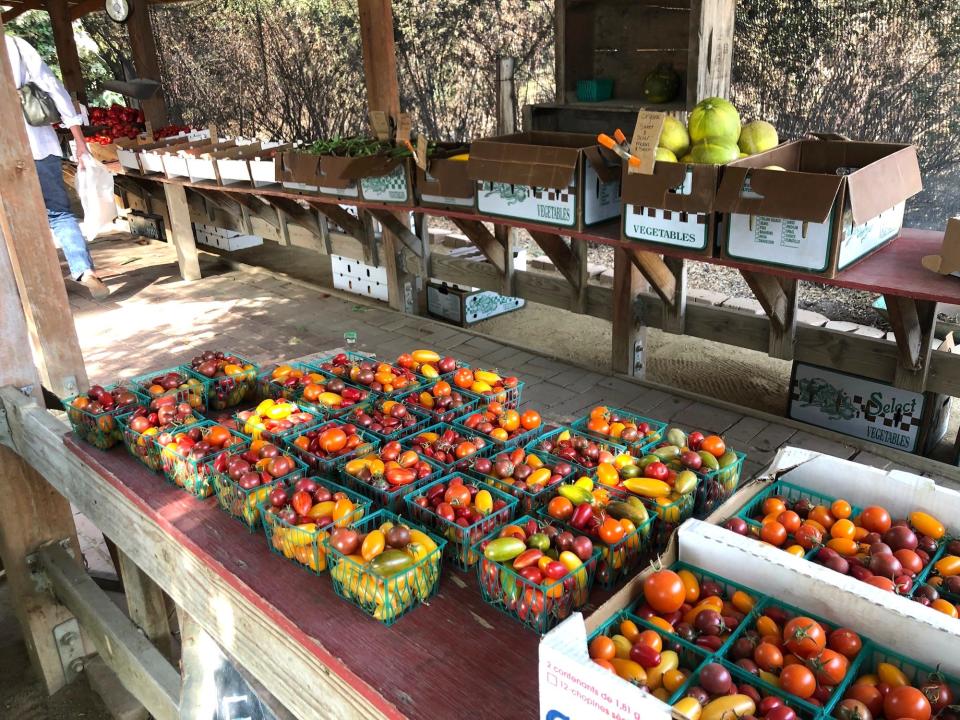 Finley Farms on Camp Hox