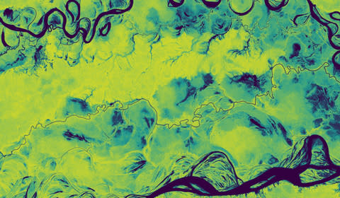 Planet forest carbon data showing the region of Putamayo in the Amazon rainforest. This visualization was created from their Forest Carbon Monitoring product. (Photo: Business Wire)