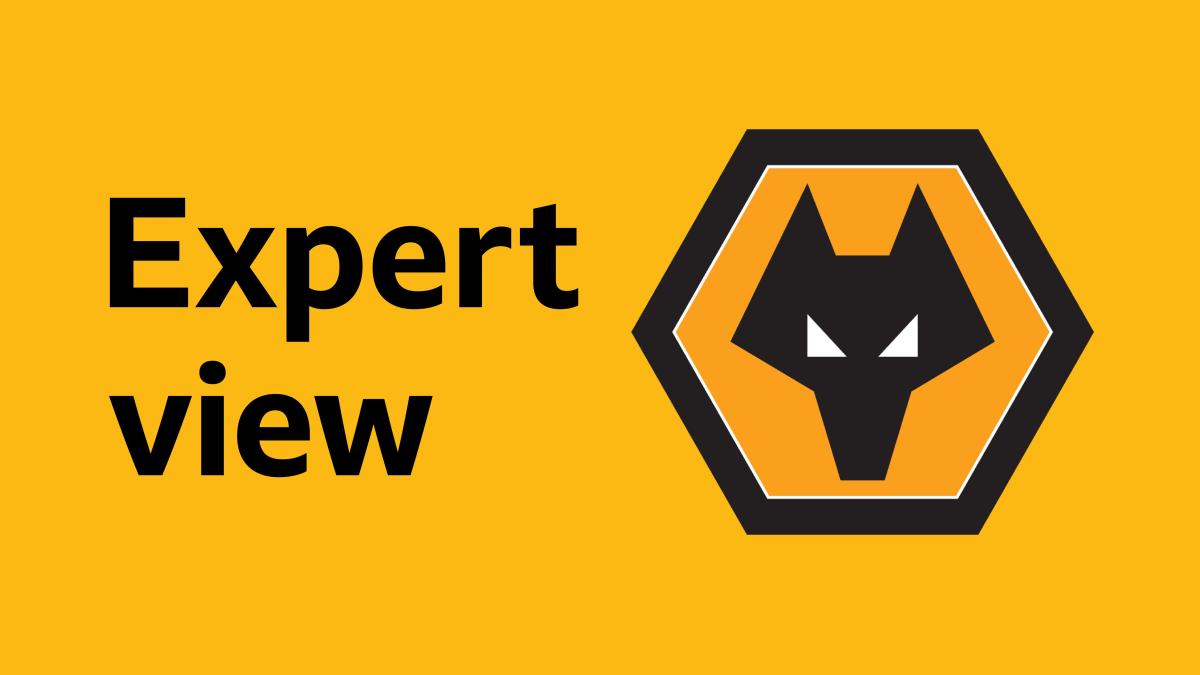 ‘We did what we could’ – assessing Wolves’ transfer window