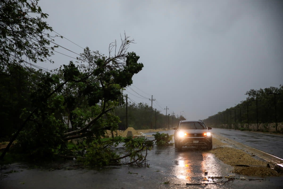 A car passes by a tree toppled by heavy winds and rain caused by Hurricane Beryl (REUTERS)