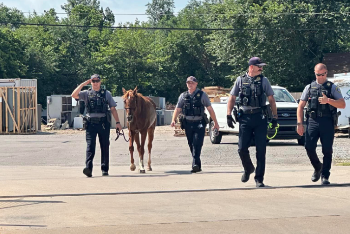 Four Oklahoma City police officers with runaway horse.