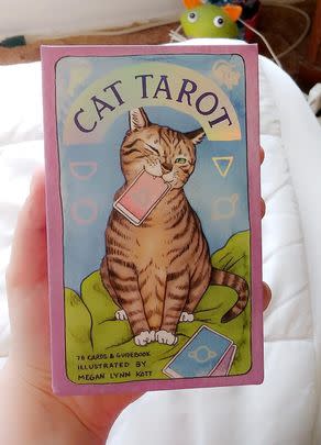 A set of cat-themed tarot cards