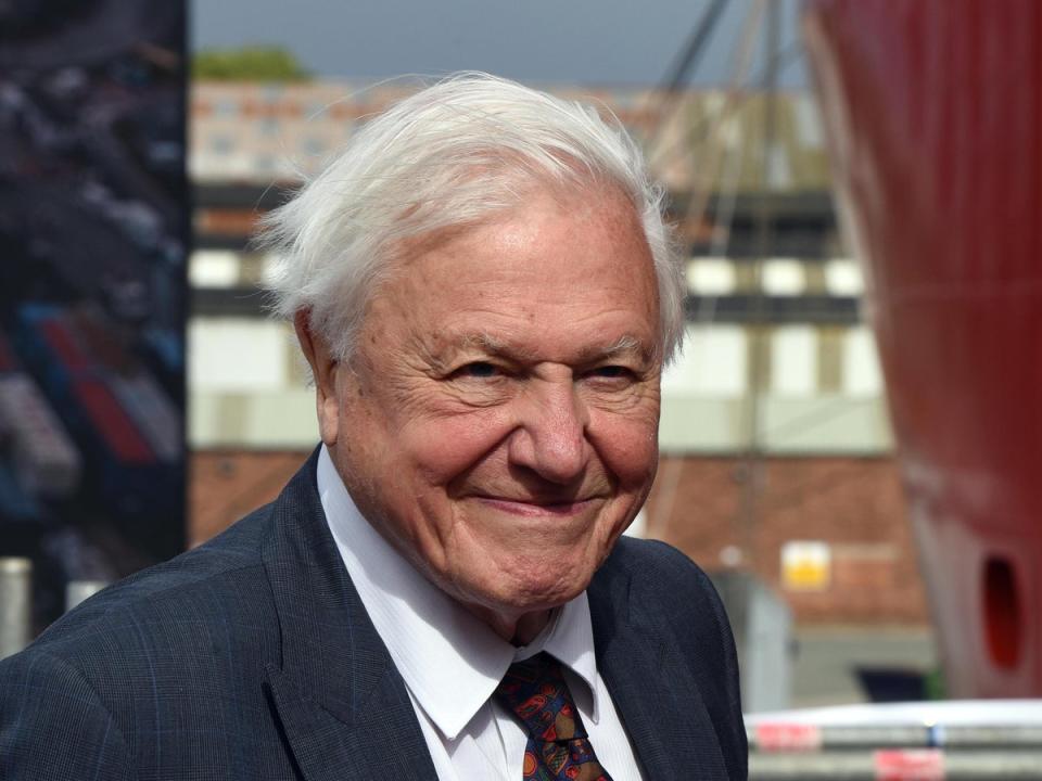 David Attenborough (Getty Images)