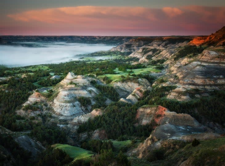 Springtime in the North Unit of Theodore Roosevelt National Park