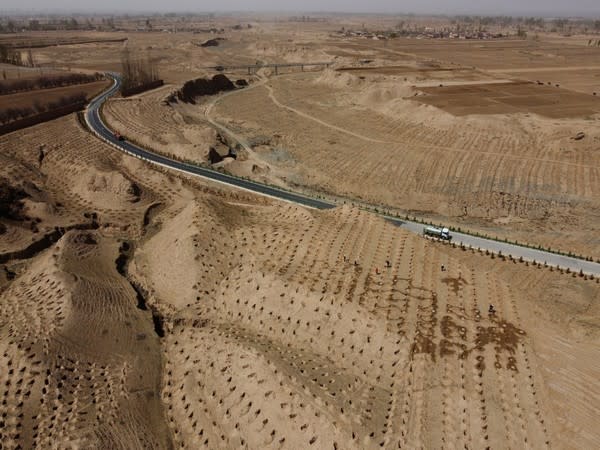  A village near the edge of the Gobi desert on the outskirts of Wuwei, Gansu province, China. (Picture credit- Reuters)